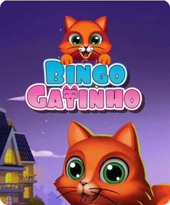 Bingo Gatinho