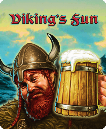 Viking's Fun