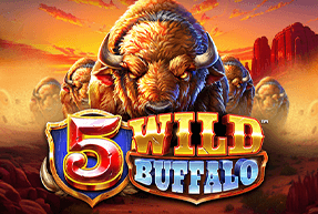 5 WILD BUFFALO